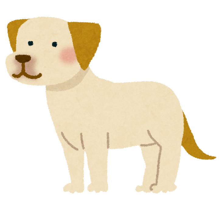 犬